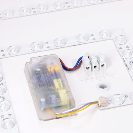 BRILAGI - LED prigušiva plafonska svetiljka PILANA SQUARE LED/48W/230V 3000-6500K hrast/bež 42x42 cm + daljinski upravljač