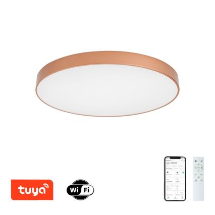 BRILAGI - LED prigušiva stropna svetiljka POOL SMART LED/100W/230V 3000-6000K pr. 80 cm Wi-Fi Tuya bakarna + daljinski upravljač
