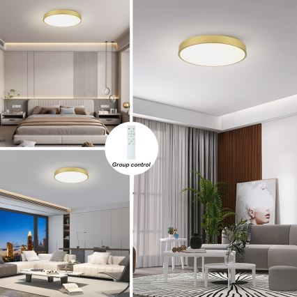 Brilagi - prigušiva LED plafonska svetiljka POOL SMART LED/100W/230V 3000-6000K 80 cm zlatna Wi-Fi Tuya + daljinski upravljač