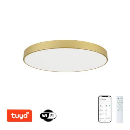 Brilagi - prigušiva LED plafonska svetiljka POOL SMART LED/100W/230V 3000-6000K 80 cm zlatna Wi-Fi Tuya + daljinski upravljač