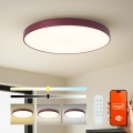 Brilagi - LED prigušiva svetiljka POOL SMART LED/100W/230V pr. 80 cm Wi-Fi Tuya + daljinski upravljač bordo