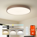 Brilagi - LED prigušiva svetiljka POOL SMART LED/100W/230V preč. 80 cm Wi-Fi Tuya + daljinskim upravljačem braon