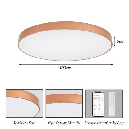 BRILAGI - LED prigušiva plafonska svetiljka POOL SMART LED/128W/230V 100 cm 3000-6000K Wi-Fi Tuya bronzana + daljinsko upravljanje