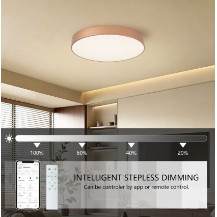 BRILAGI - LED prigušiva plafonska lampa POOL SMART LED/60W/230V 3000-6000K prečnik 50 cm Wi-Fi Tuya bronzana + daljinski upravljač