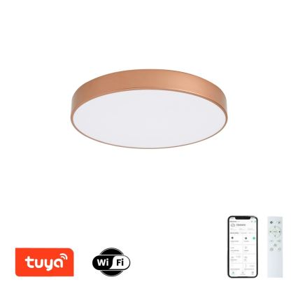 BRILAGI - LED prigušiva plafonska lampa POOL SMART LED/60W/230V 3000-6000K prečnik 50 cm Wi-Fi Tuya bronzana + daljinski upravljač