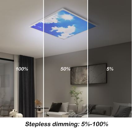 Brilagi - LED prigušiva plafonsko svetlo SLIMFRAME SKY LED/58W/230V 60x60 cm 3000-6000K srebrna/plava + sa daljinskim upravljačem