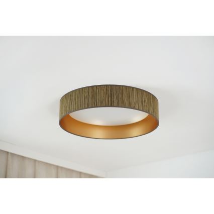 BRILAGI - LED prigušiva plafonska svetiljka VEGAS SHINE LED/24W/230V prečnik 45 cm 3000/4000/6500K slama braon/zlatna + daljinski upravljač