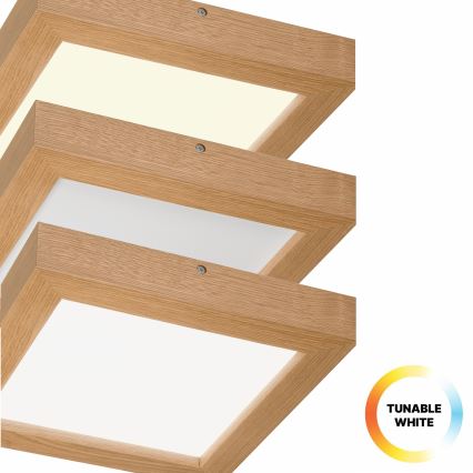 Brilagi - LED prigušiva plafonska lampa za kupatilo WOODY FRAME LED/24W/230V hrast 30x30 cm 3000-6000K IP44 + daljinski upravljač