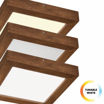 Brilagi - prigušiva LED stropna lampa za kupatilo WOODY FRAME LED/24W/230V hrast-trešnja 30x30 cm 3000-6000K IP44 + daljinski upravljač