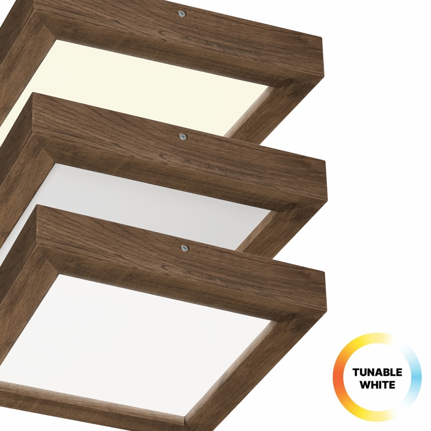 Brilagi - LED prigušiva kupatilsko plafonsko svetlo WOODY FRAME LED/24W/230V hrast/orah 30x30 cm 3000-6000K IP44 + daljinski upravljač