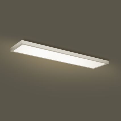 Brilagi - LED prigušiva stropna svetiljka za kupatilo FRAME SMART LED/50W/230V 120x30 cm 3000-6000K IP44 srebrna + daljinski upravljač