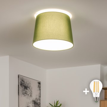 Brilagi - LED prislonjeni luster CERIA 1xE27/40W/230V prečnik 30 cm zeleni