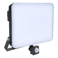BRILAGI - LED reflektor ELARA PRO sa senzorom LED/100W/230V IP65