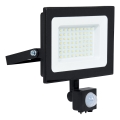 BRILAGI - LED reflektor sa senzorom ELARA ECO LED/50W/230V IP65