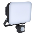 BRILAGI - LED reflektor sa senzorom ELARA PRO LED/30W/230V IP65