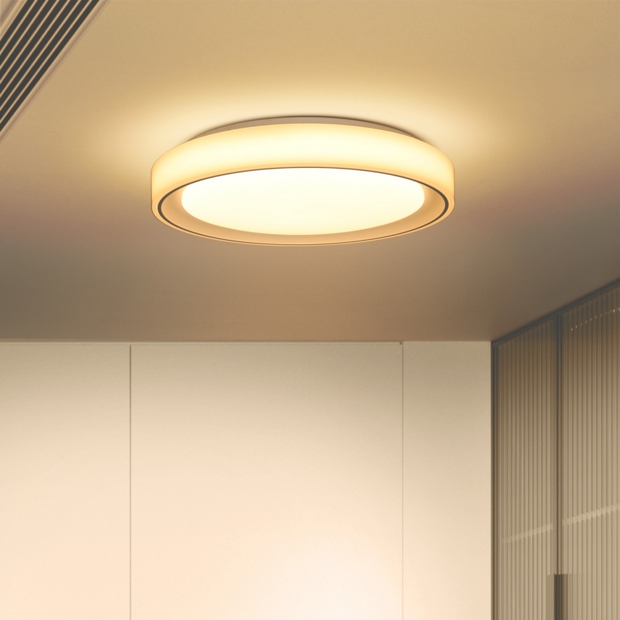Brilagi - LED RGB prigušiva stropna svetiljka FLOCO LED/30W/230V prečnik 39,5 cm 3000-6500K Wi-Fi Tuya + LED/6W + daljinski upravljač