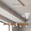 BRILAGI - LED RGBW prigušiva lampa na sajli SELE 6xGU10/6,5W/230V 2700-6500K bela/dekor hrasta + daljinsko upravljanje