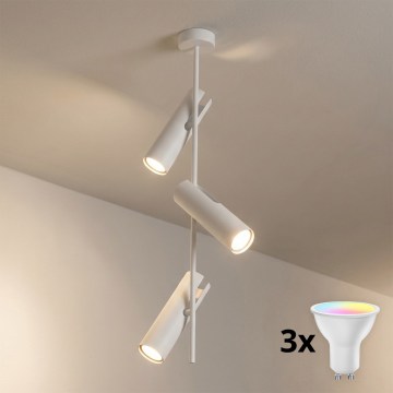 BRILAGI - LED RGBW prigušiva luster na stalku BRANCH 3xGU10/6,5W/230V 2700-6500K bela