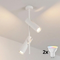 BRILAGI - LED RGBW prigušiva luster na štapu BRANCH 2xGU10/6,5W/230V 2700-6500K bela