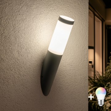 BRILAGI - LED RGBW prigušiva spoljašnja zidna lampa ELIA 1xE27/6,5W/230V 2700-6500K IP44 Wi-Fi antracit