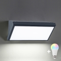 BRILAGI - LED RGBW prigušiva spoljna zidna svetiljka TRIANGLE 1xE27/12W/230V 2700-6500K IP65 antracit
