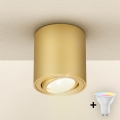 Brilagi - LED RGBW prigušiva spot svetiljka MIA 1xGU10/4,8W/230V 3000K 84x80 mm zlatna + daljinski upravljač
