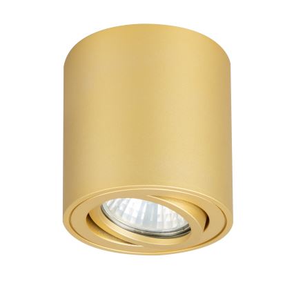 Brilagi - LED RGBW prigušiva spot svetiljka MIA 1xGU10/4,8W/230V 3000K 84x80 mm zlatna + daljinski upravljač