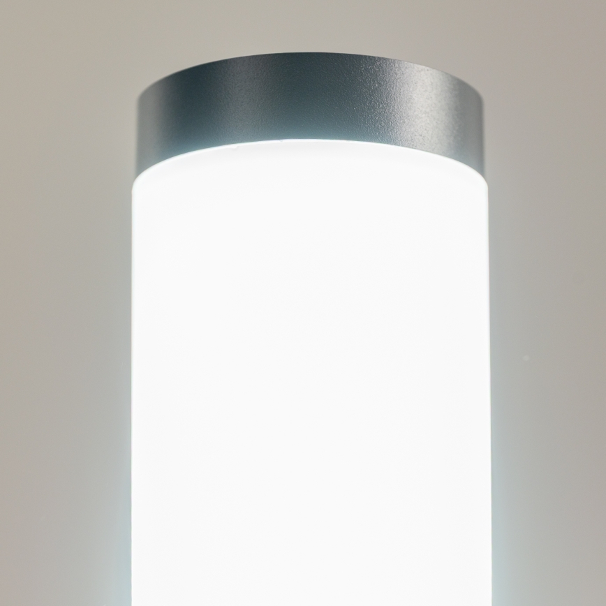 BRILAGI - LED RGBW prigušiva spoljna lampa ELIA 1xE27/6,5W/230V 2700-6500K IP44 Wi-Fi 100 cm antracit