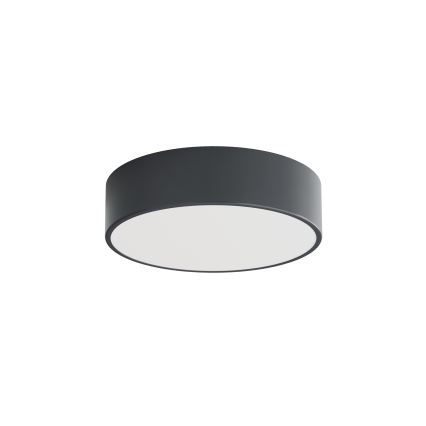 BRILAGI - LED RGBW prigušiva plafonska lampa za kupatilo CLARE 2xE27/12W/230V prečnika 30 cm antracit IP54