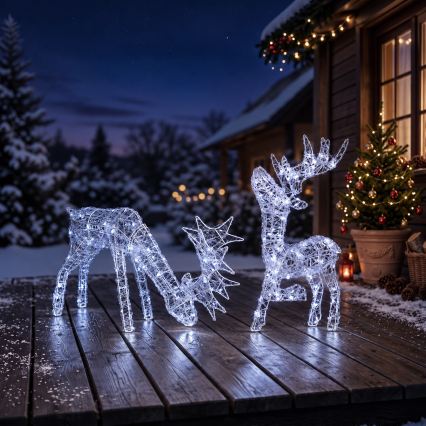 BRILAGI - LED spoljašnja božićna dekoracija LED/3,3W/230V IP44 60x37 cm sob