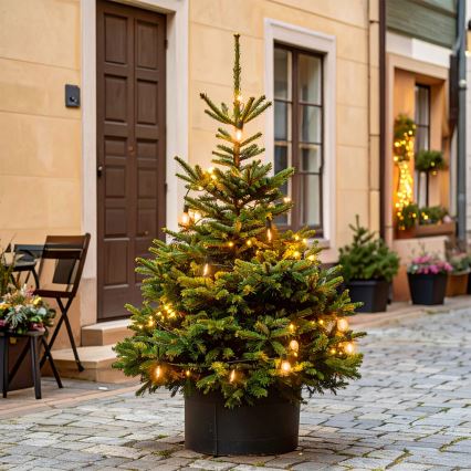 BRILAGI - LED spoljašnja božićna girlanda 10xLED/3xAA 3,2m IP44 topla bela