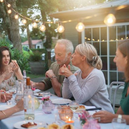 Brilagi - LED spoljašnji dekorativni svetleći lanac GIRLANDA 25xE12/0,36W/24V 20m crna IP44 topla bela