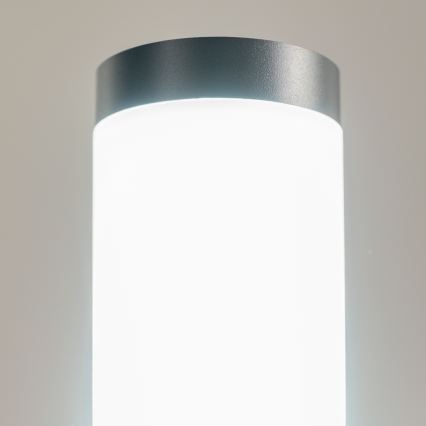 BRILAGI - LED prigušiva spoljašnja lampa ELIA 1xE27/6W/230V 2700-6500K IP44 Wi-Fi 100 cm antracit