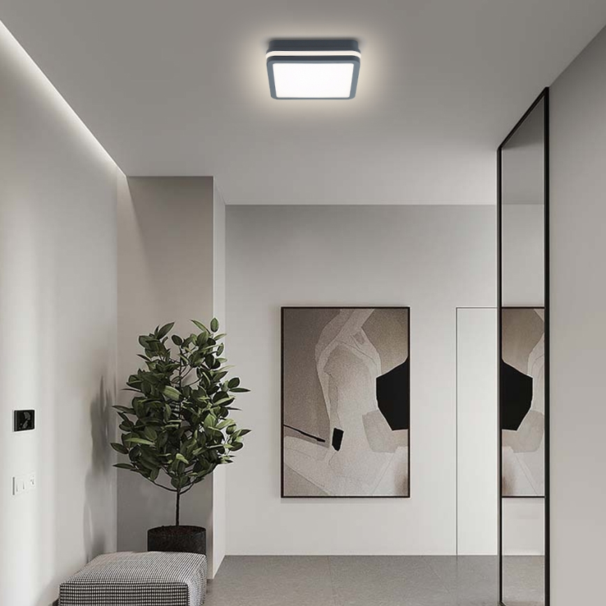 BRILAGI - LED spoljašnje svetlo BENE LED/18W/230V 22x22 cm antracit IP54