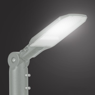 Brilagi - LED spoljašnja ulična lampa URBANLIGHT LED/50W/230V siva IP65