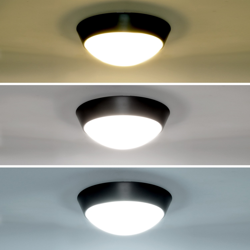 Brilagi - LED spoljašnja zidna svetiljka 2u1 BULKHEAD LED/20W/230V 3000/4000/6000K IP65