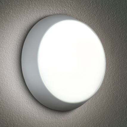 Brilagi - LED spoljašnja zidna svetiljka 2u1 BULKHEAD LED/20W/230V 3000/4000/6000K IP65