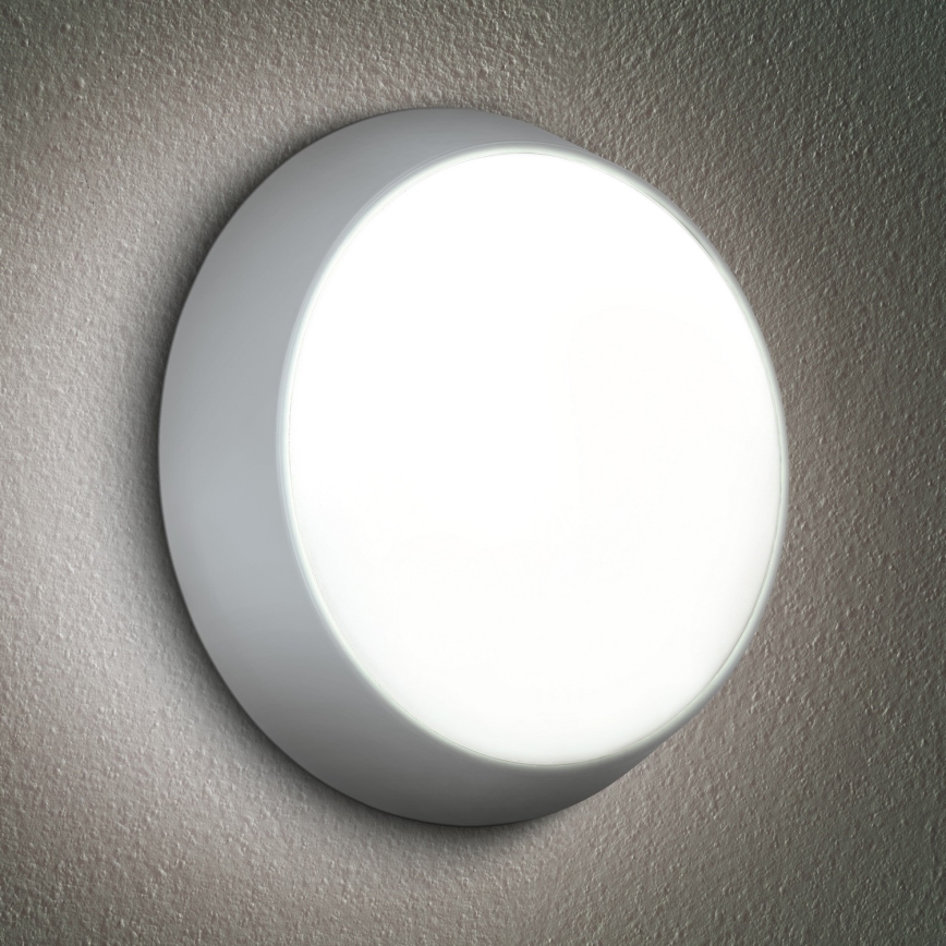Brilagi - LED spoljašnja zidna svetiljka 2u1 BULKHEAD LED/20W/230V 3000/4000/6000K IP65