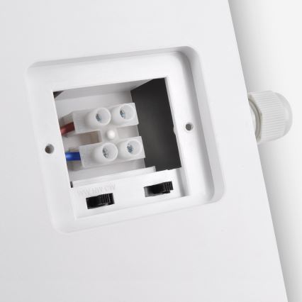 Brilagi - LED spoljašnja zidna svetiljka 2u1 BULKHEAD LED/20W/230V 3000/4000/6000K IP65