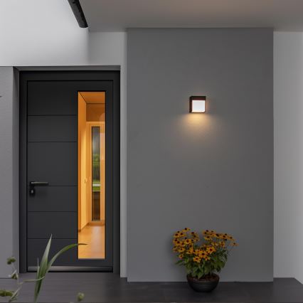 Brilagi - LED spoljašnja zidna svetiljka TERNI LED/12W/230V crna IP44