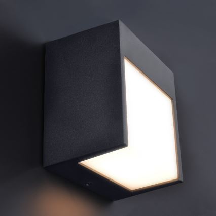 Brilagi - LED spoljašnja zidna svetiljka TERNI LED/12W/230V crna IP44