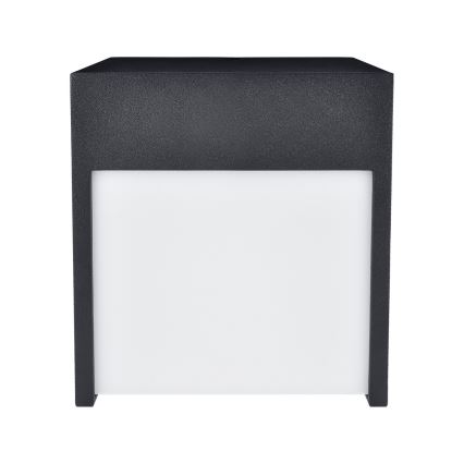 Brilagi - LED spoljašnja zidna svetiljka TERNI LED/12W/230V crna IP44