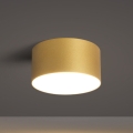 BRILAGI - LED spoljašnje plafonsko svetlo FORIS LED/14W/230V prečnik 12 cm zlatna IP44
