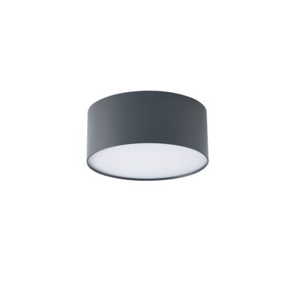 BRILAGI - LED spoljna plafonska svetiljka FORIS LED/20W/230V prečnik 15 cm antracit IP44