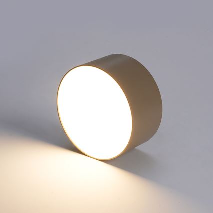 BRILAGI - LED spoljno plafonsko svetlo FORIS LED/20W/230V prečnik 15 cm bež IP44