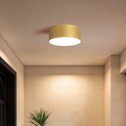 BRILAGI - LED Spoljašnje plafonsko svetlo FORIS LED/20W/230V Ø 15 cm zlatna IP44
