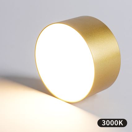 BRILAGI - LED Spoljašnje plafonsko svetlo FORIS LED/20W/230V Ø 15 cm zlatna IP44