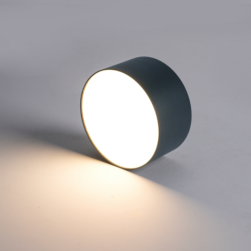 BRILAGI - LED spoljašnje plafonsko svetlo FORIS LED/9W/230V prečnik 9 cm antracit IP44