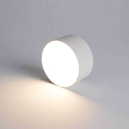 BRILAGI - LED Spoljašnje plafonsko svetlo FORIS LED/9W/230V Ø 9 cm belo IP44