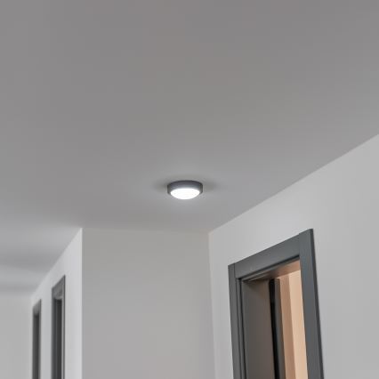 Brilagi - LED spoljašnje plafonsko svetlo LED/13W/230V Ø17 cm IP54 antracit